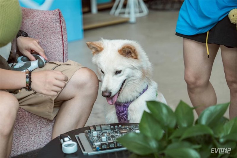 首届Drive on Horizon 自动驾驶快闪月于上海开幕