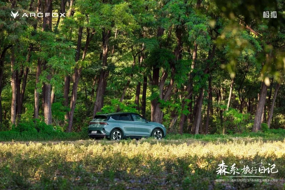 极狐森林版 cead-3ccfed135da6f8d07a5e05c42b0e9e57.jpg