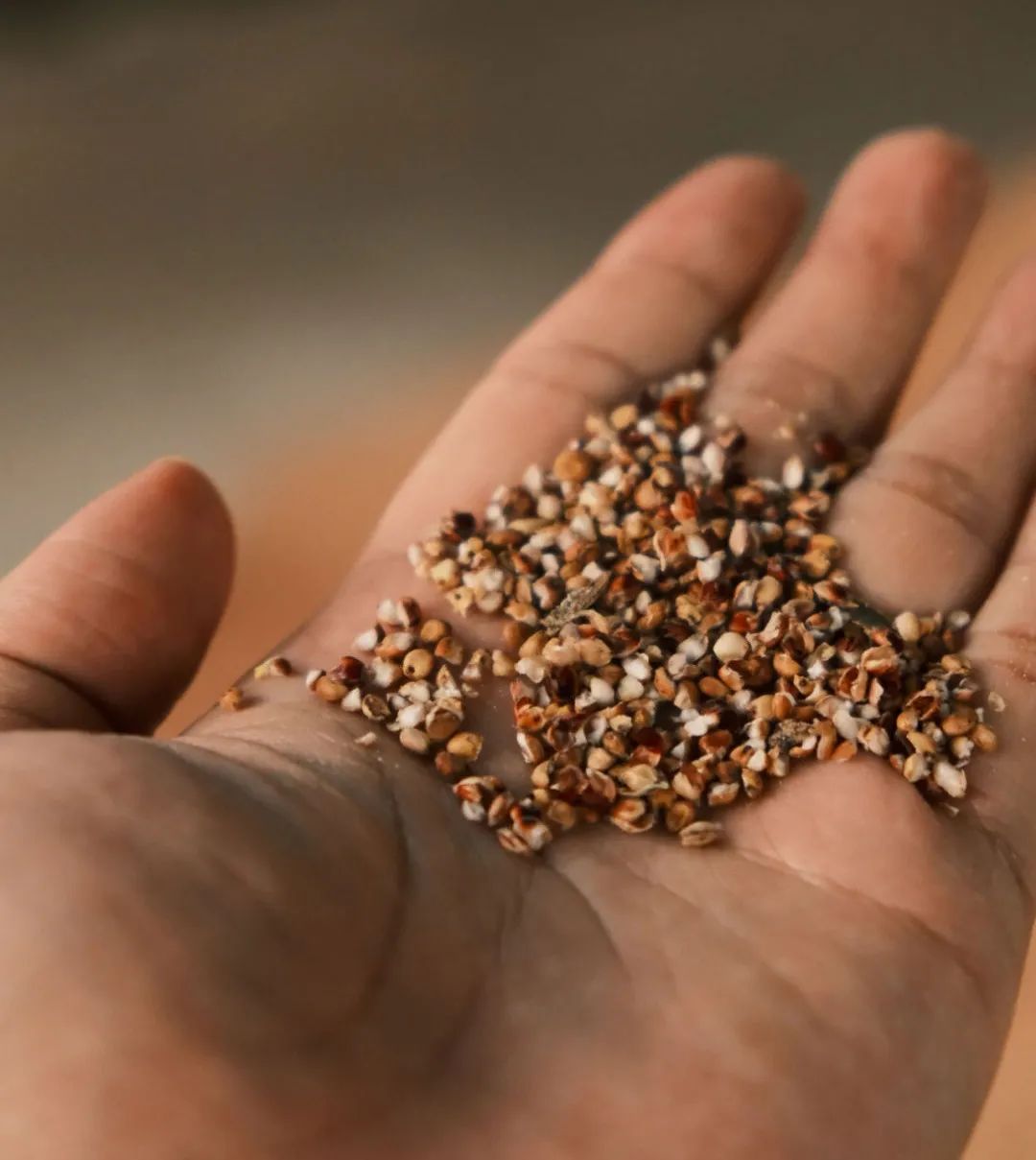 啥是青盐 3f6e-52502ce1126fe5833cbf0d94eac5bd9d.jpg