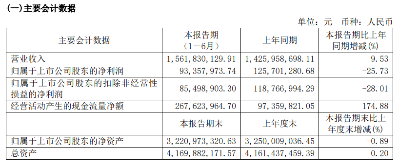 图片来源:半年报截图