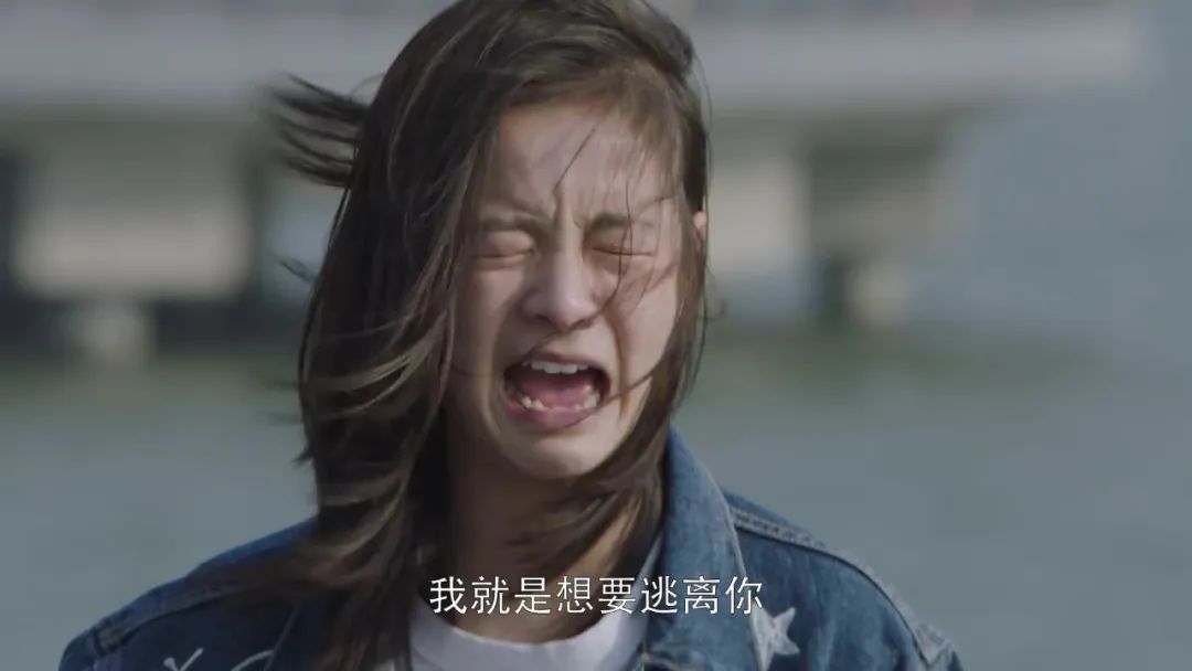 图源剧集《小欢喜》