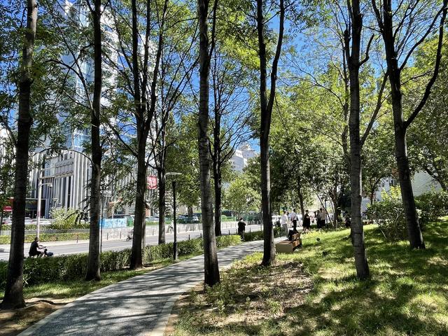 全长约1300米的文慧园路经过精细化整治提升,拓宽了人行空间,打开密闭空间后又新增了3个口袋公园。 新京报记者 浦峰 摄