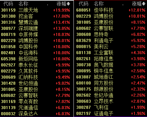 小作文突袭！大白马闪崩