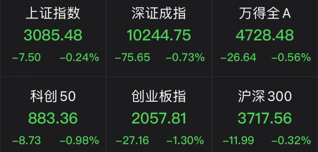 小作文突袭！大白马闪崩