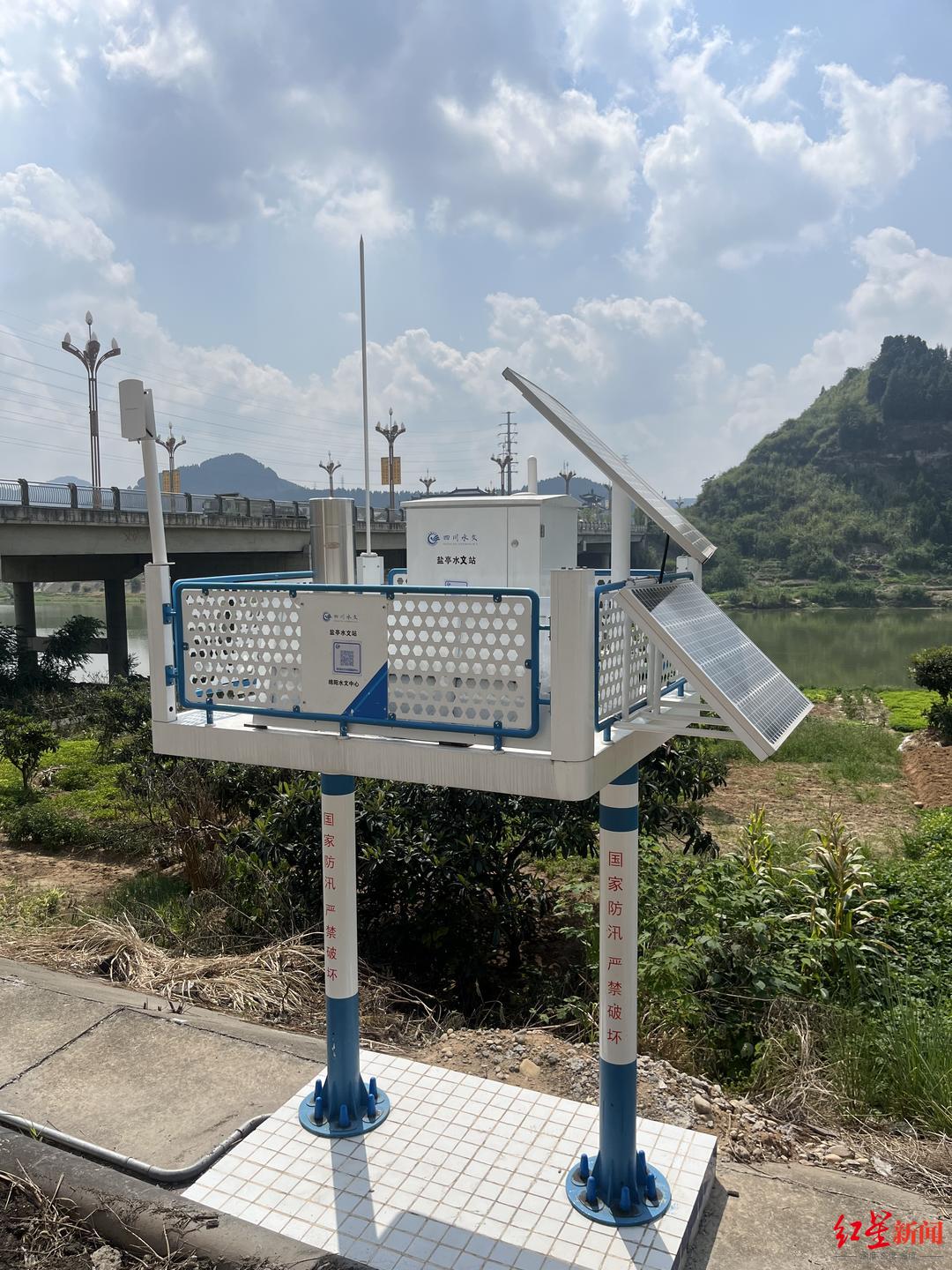 克隆双胞胎小说，克隆双胞胎近照