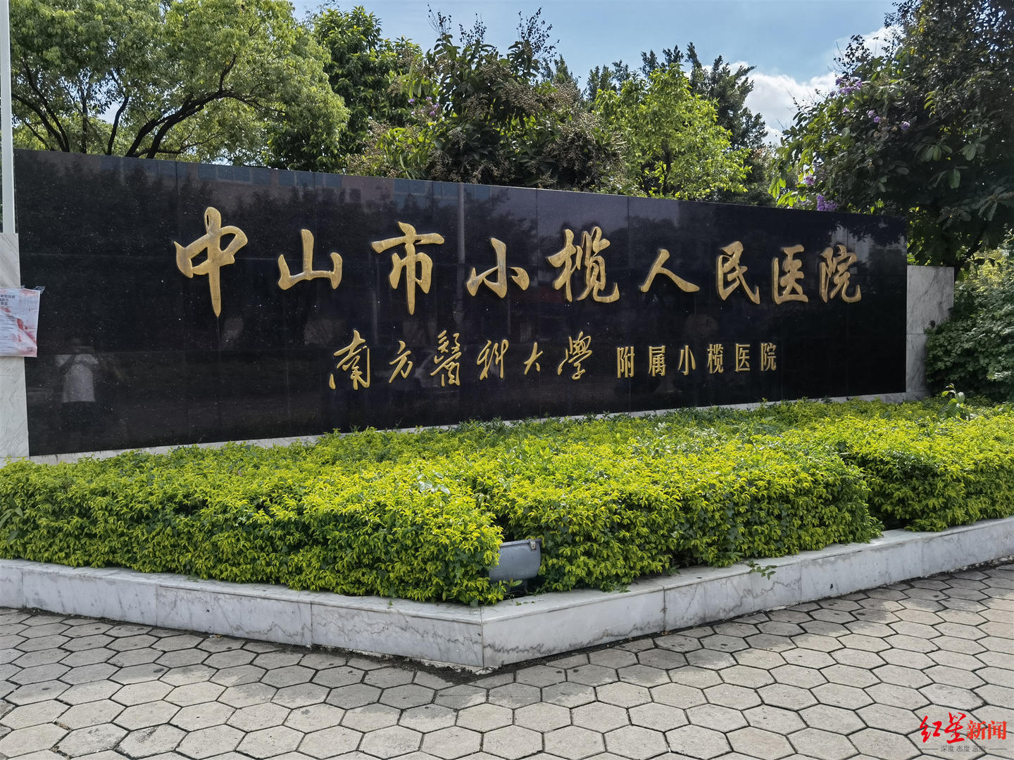 切胃手术诊断证明,争议医学院切胃手术