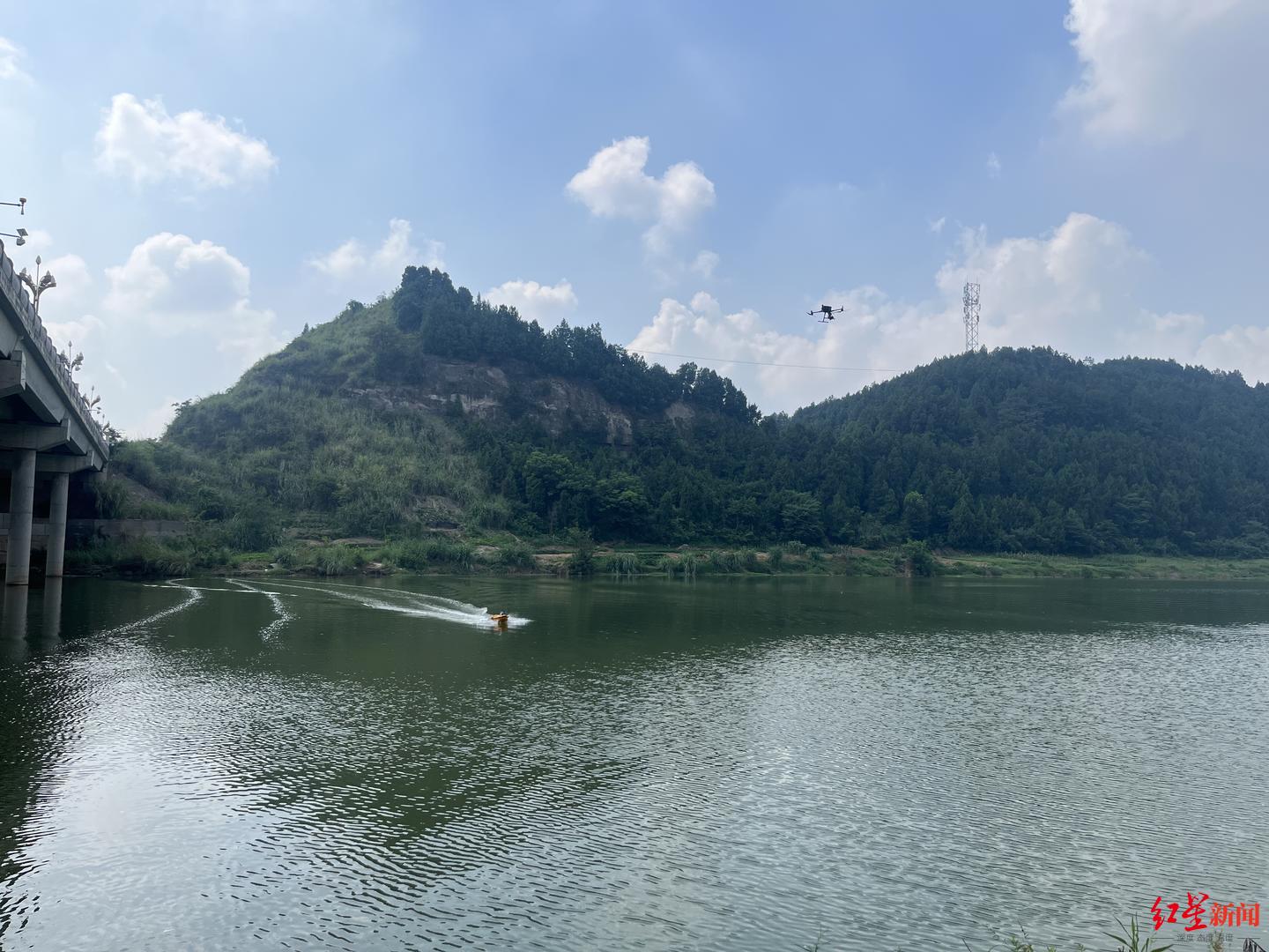 克隆双胞胎小说，克隆双胞胎近照