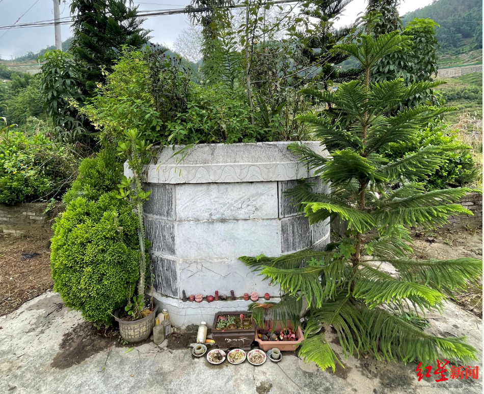 孤注一掷都是有原型的吗，孤注一掷女主角安娜原型