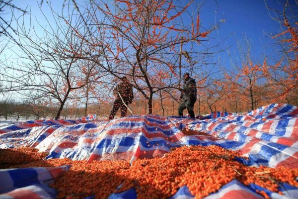 穆棱市百度百科，穆棱市有什么著名的旅游景点