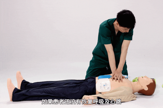 来源:起点新闻