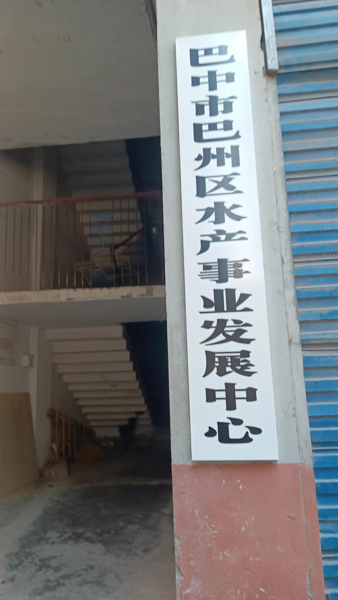 动物世界斑海豹的乐园，斑海豹游玩攻略