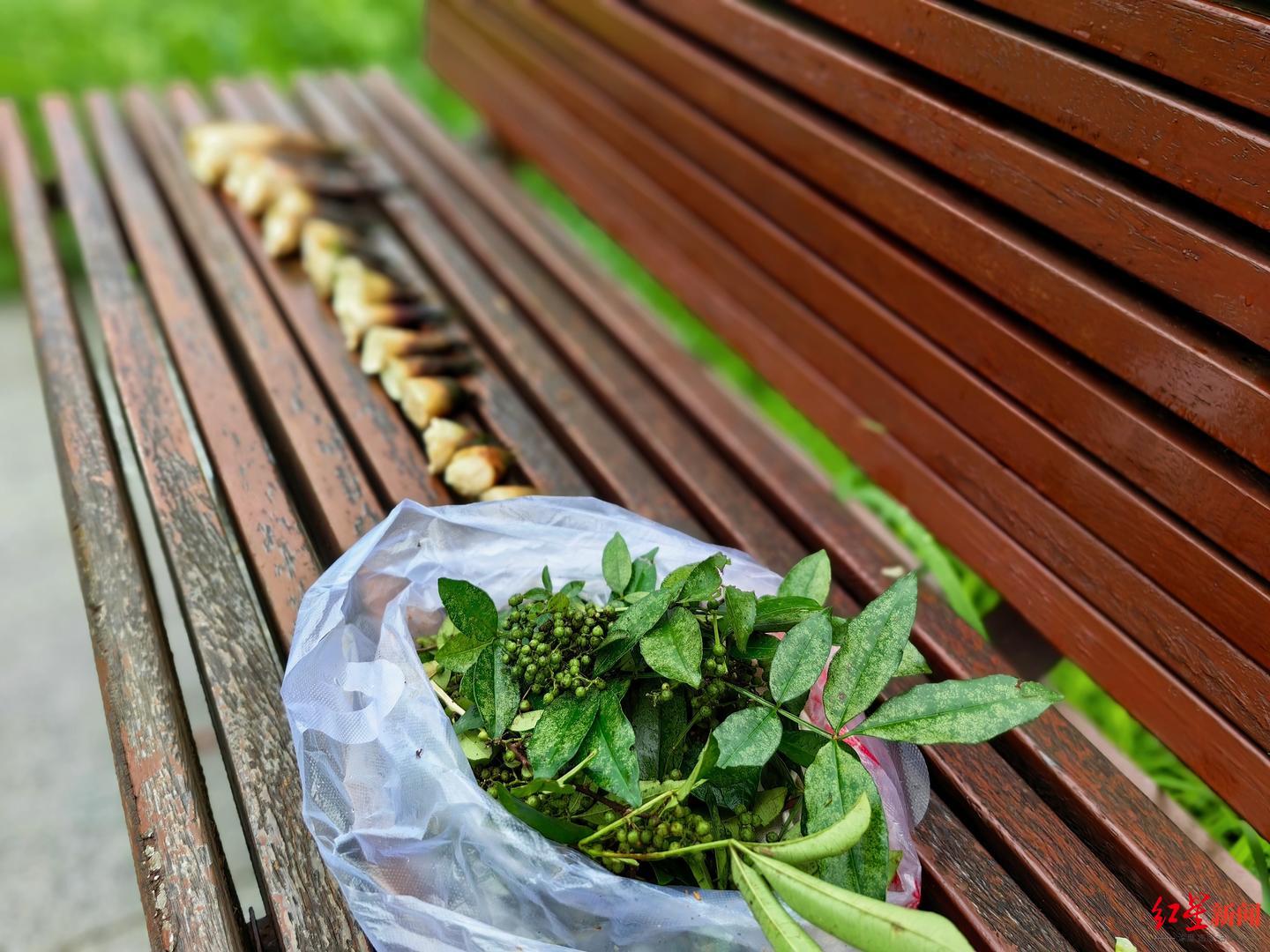 成都青龙湖有什么好玩的，成都青龙湖好看视频