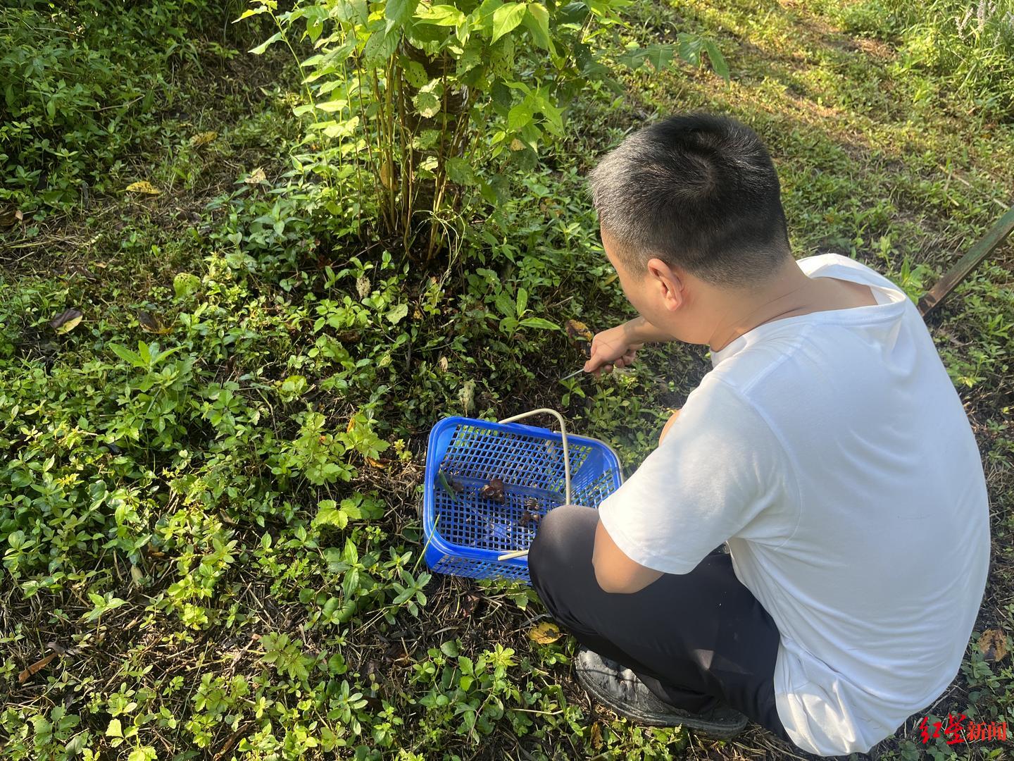 成都青龙湖有什么好玩的，成都青龙湖好看视频