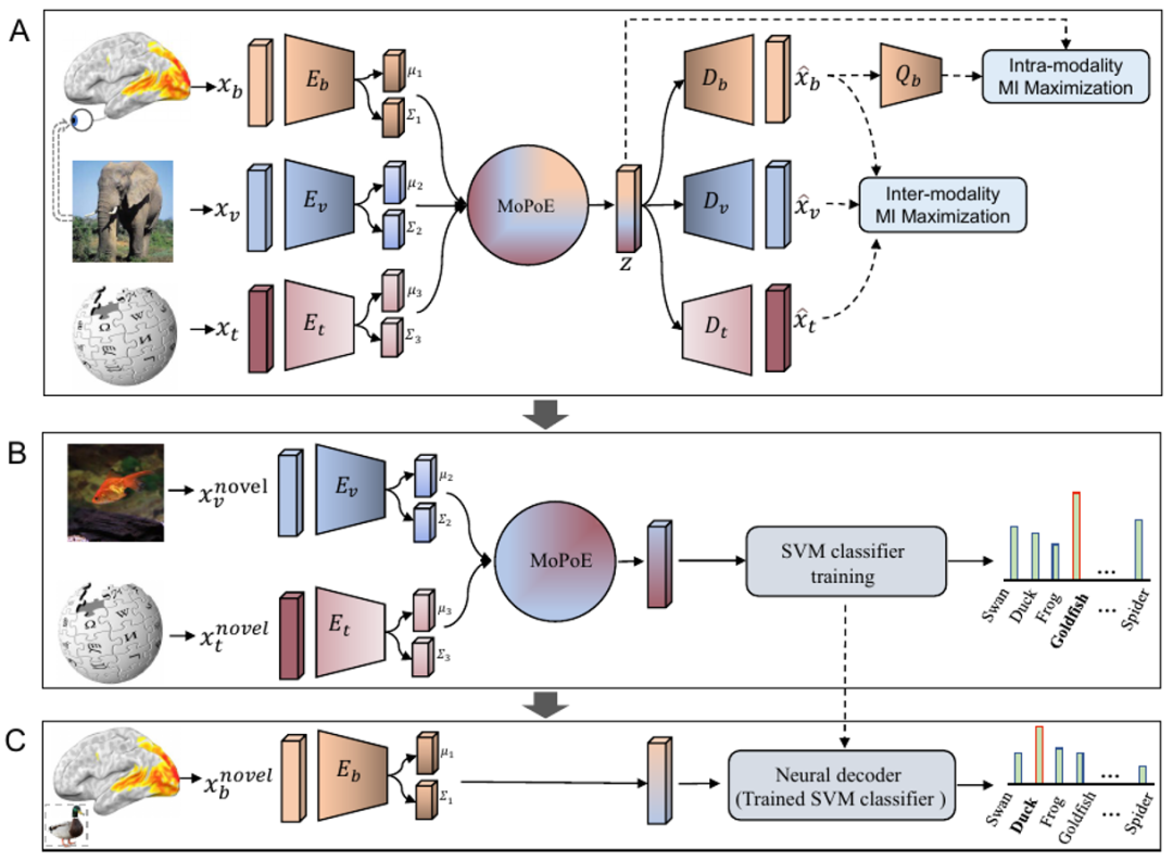 如何用大模型「读脑」并重建所见图像?中国科学院学者在线分享