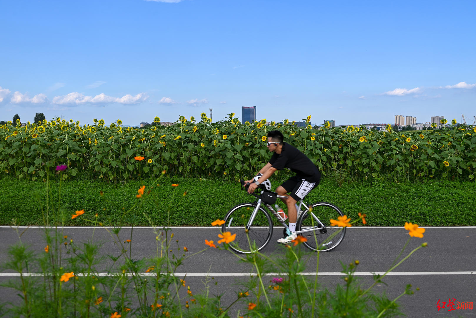 成都高新区环城生态区，成都环城生态区贯通