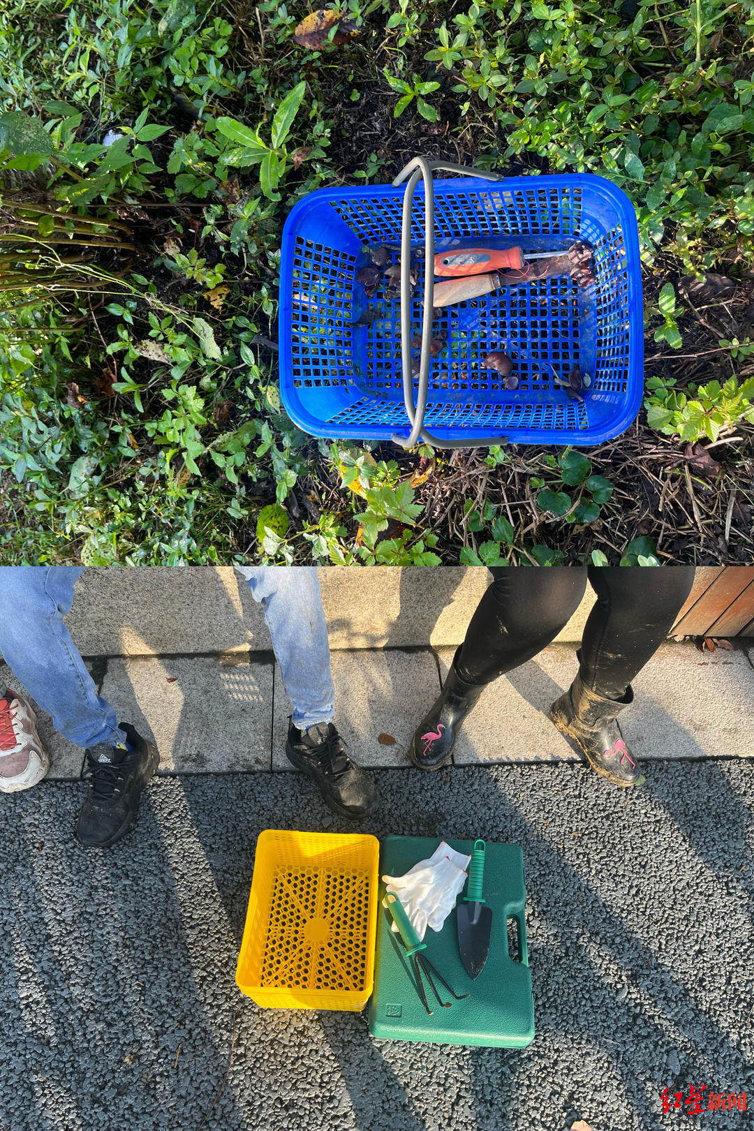 成都青龙湖有什么好玩的，成都青龙湖好看视频