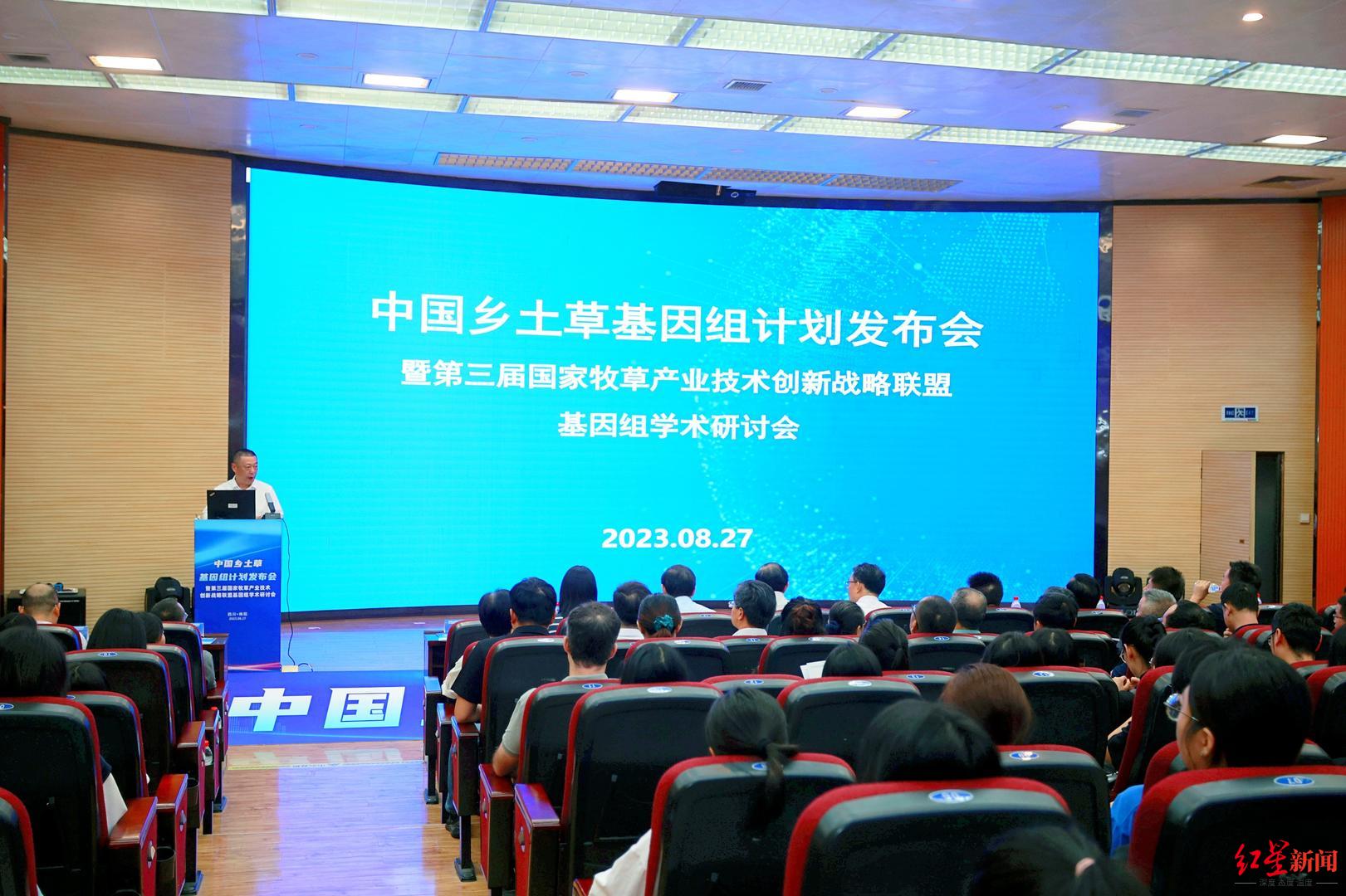 助力券是什么意思，助力卡什么意思