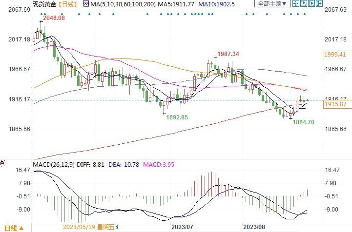 专家对本周金价走势看法有分歧，而散户坚定看涨！