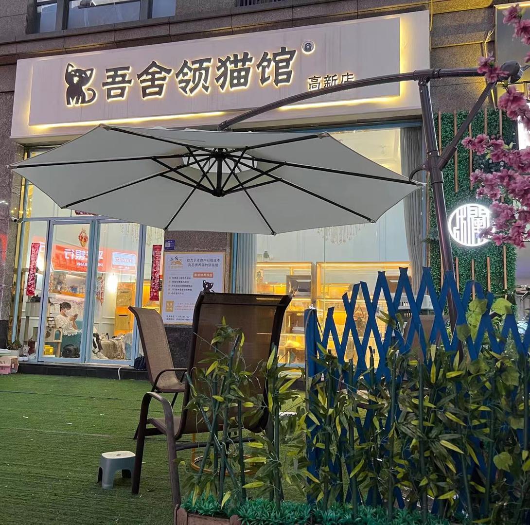 中国新中产家庭，新中产家庭是什么意思