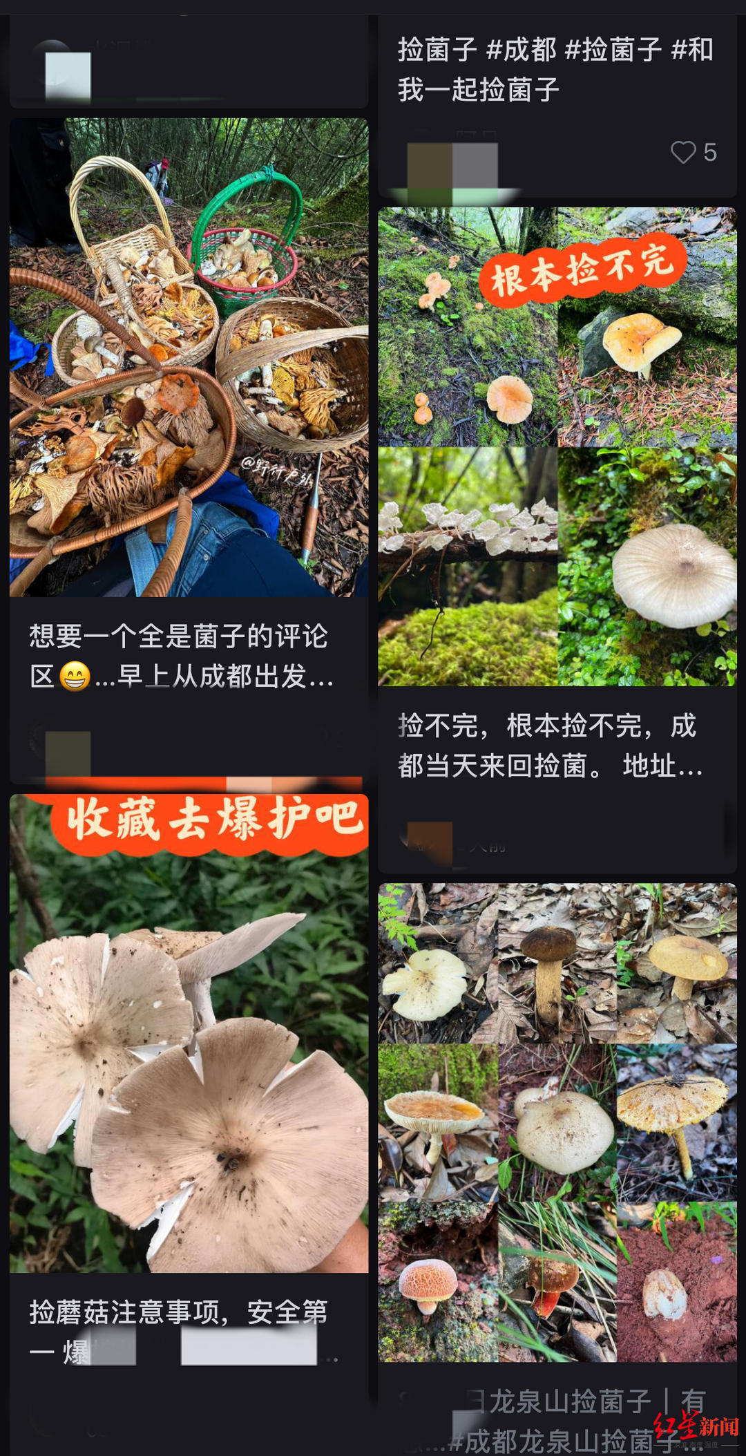 成都青龙湖有什么好玩的，成都青龙湖好看视频