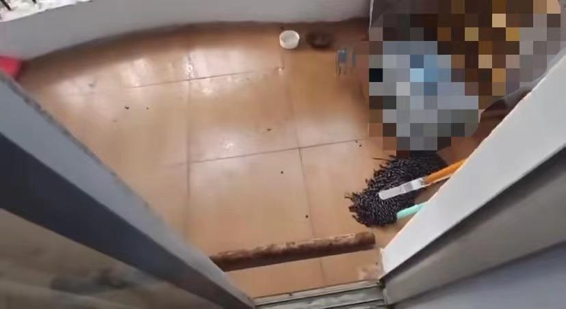 网传长沙医学院“疑似有学生被施工坠落物砸伤住进”校方：没有这回事