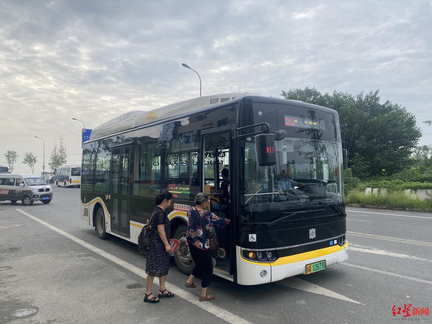 出门买菜轰动全城,出门去买菜