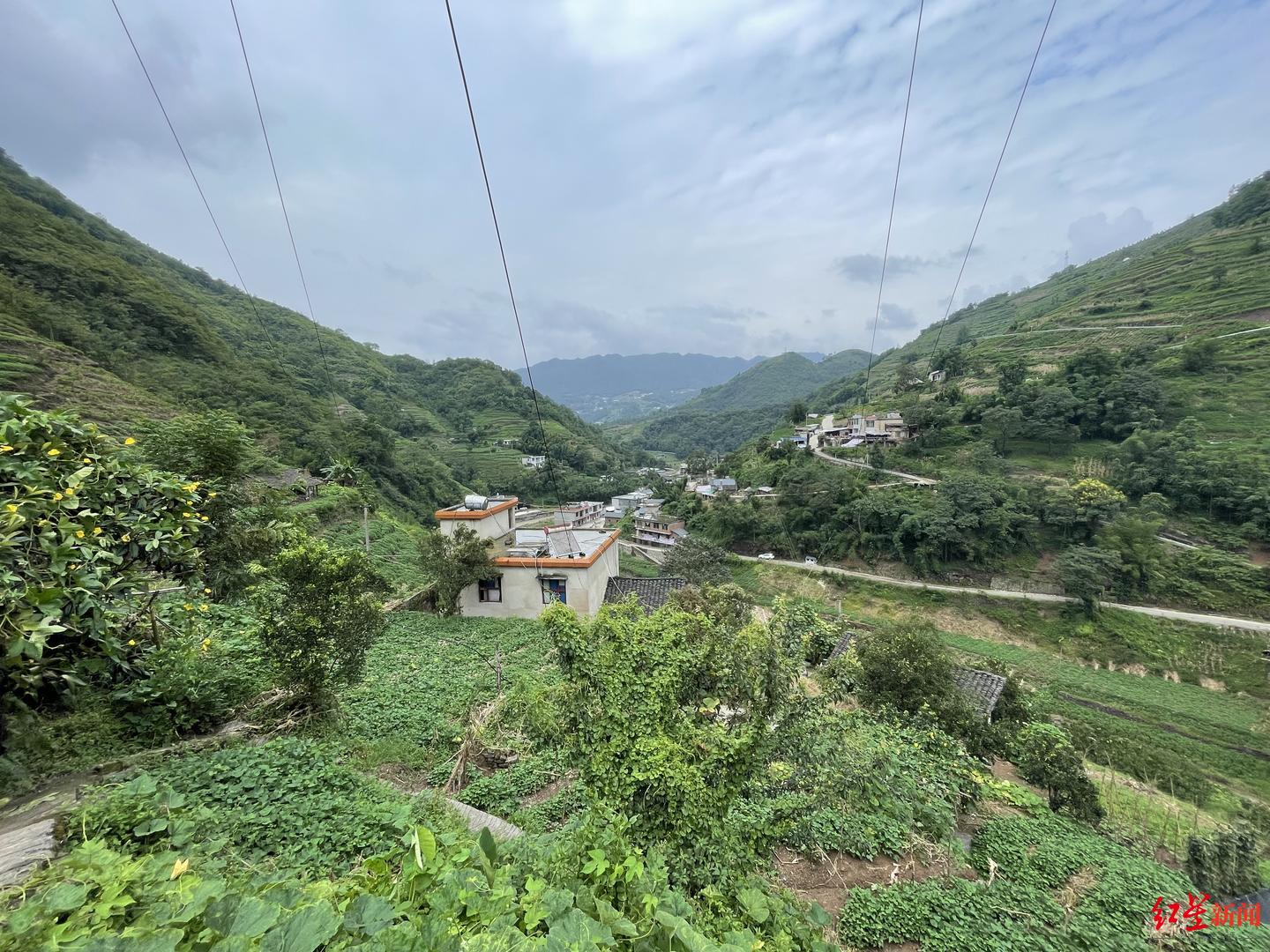 越南为什么女多男少啊，越南6岁男孩从柬埔寨回来