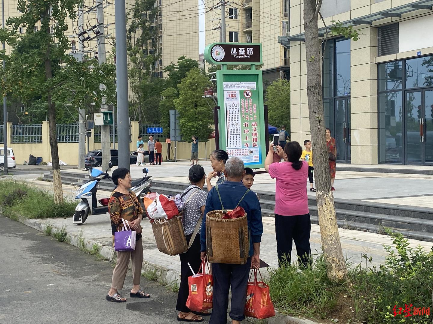 出门买菜轰动全城,出门去买菜