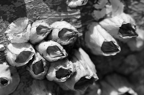 藤壶有助查明航班位置