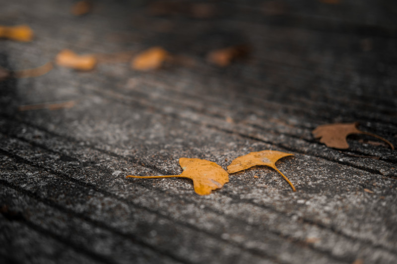 中融信托大股东主动退市经纬纺机一字涨停股价狂欢如何落幕？