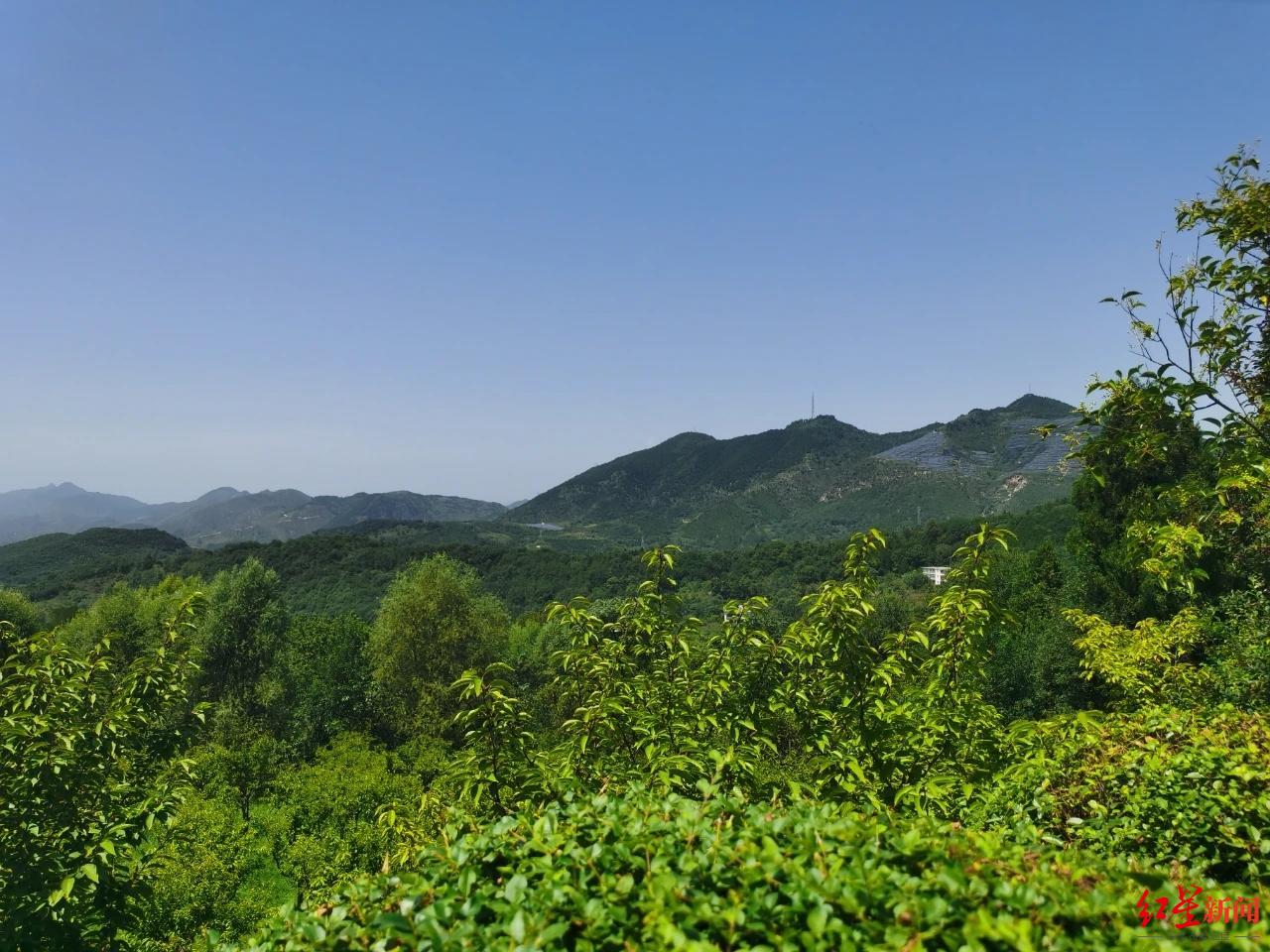 陕西男子17岁被骗到云南，25岁男子被诱骗