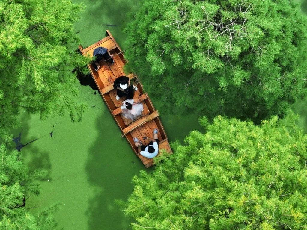 保护“地球之肾”阅读答案,保护地球生命