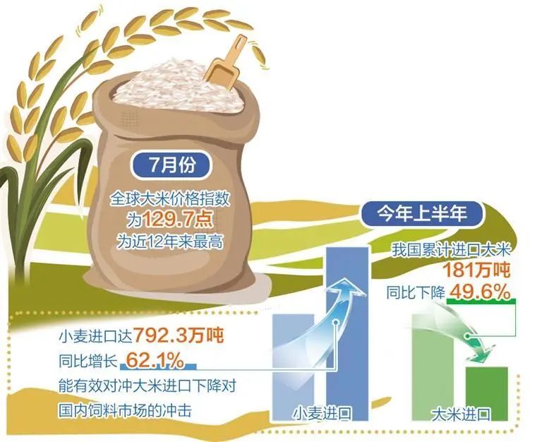 为控制米价菲律宾对部分大米品种设定价格上限菲律宾对部分大米品种设定价格上限为控制米价菲律宾对部分大米品种设定价格上限,第1张