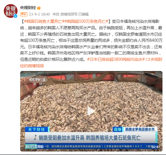 销路受阻叠加水温升高，韩不少养殖场石斑鱼出现大量死亡