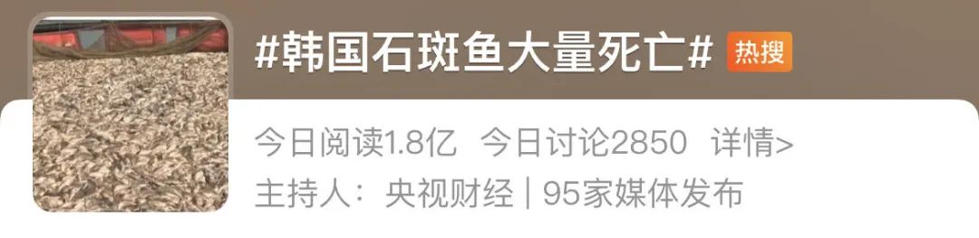 石斑鱼韩国语怎么说冲上热搜第一！韩国石斑鱼大量死亡！什么情况？,第1张