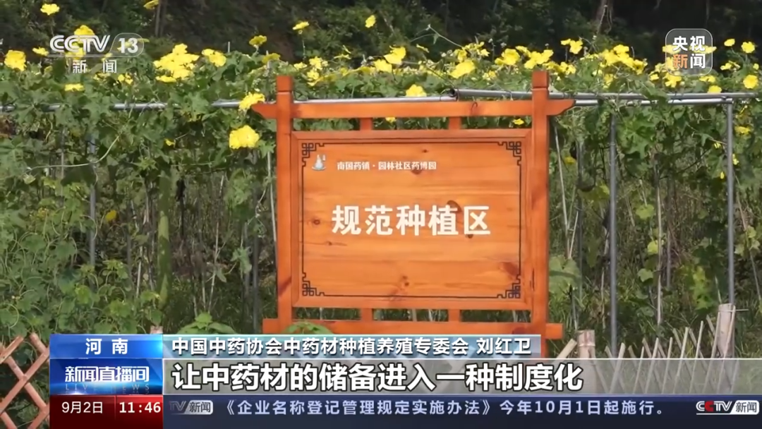 中药材价格“狂飙”!个别品种涨价4至9倍,进货价比之前售价都高,什么情况?