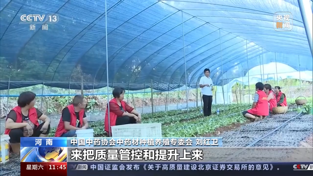 中药材价格“狂飙”!个别品种涨价4至9倍,进货价比之前售价都高,什么情况?