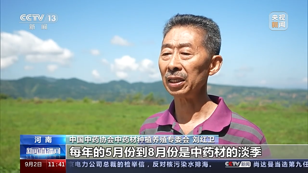 中药材价格“狂飙”!个别品种涨价4至9倍,进货价比之前售价都高,什么情况?