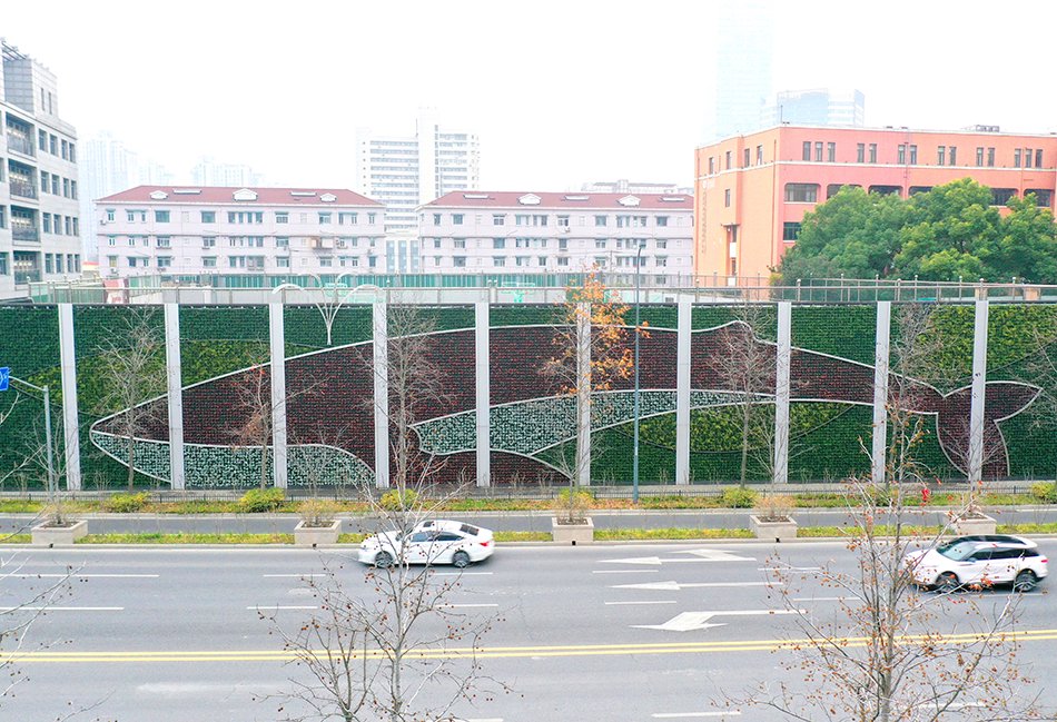 恒丰路“鲸鱼宝宝”垂直绿墙。上海市绿化市容局 图