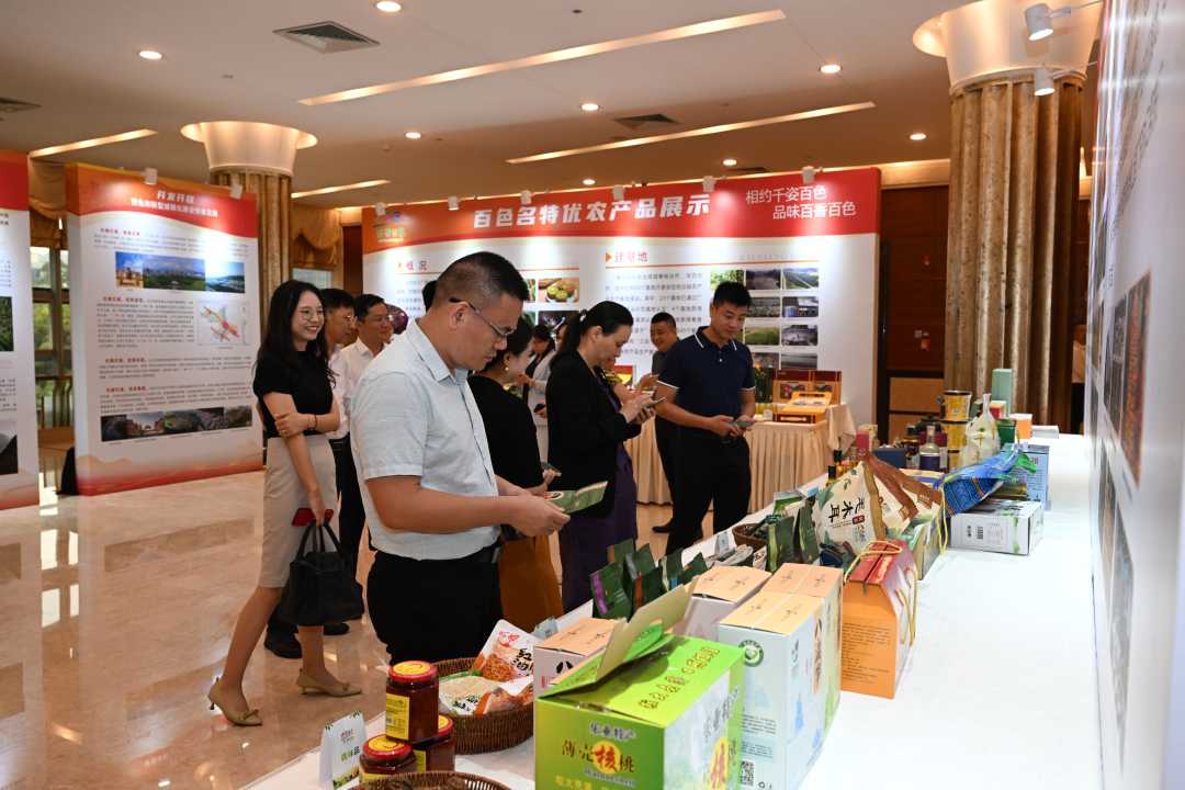 图为“百色走进深圳•老区走近特区”专场推介活动现场。
