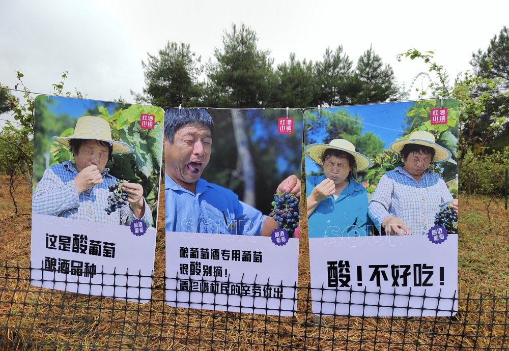 “表情包”海报让人会心一笑。受访者供图