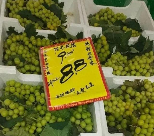 阳光玫瑰葡萄价格跳水了 0209-d87fb1f122e2e37be09917ab3a0ed38b.jpg