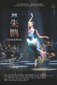 《朱鹮》海报。