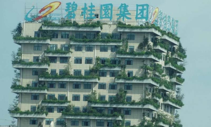 图片来源:蓝鲸财经
