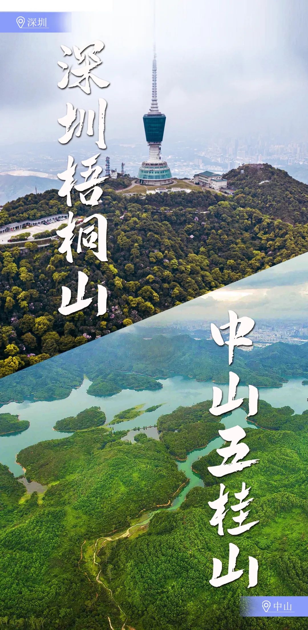 图宁杰文 @冯伟光