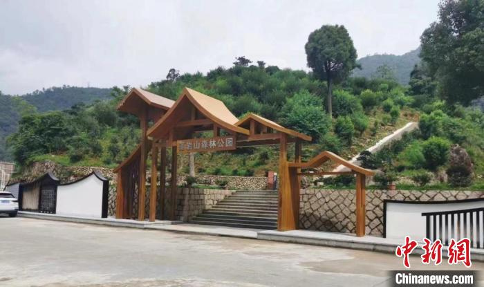 馬嶴村森林公園。樂清市委統戰部 供圖