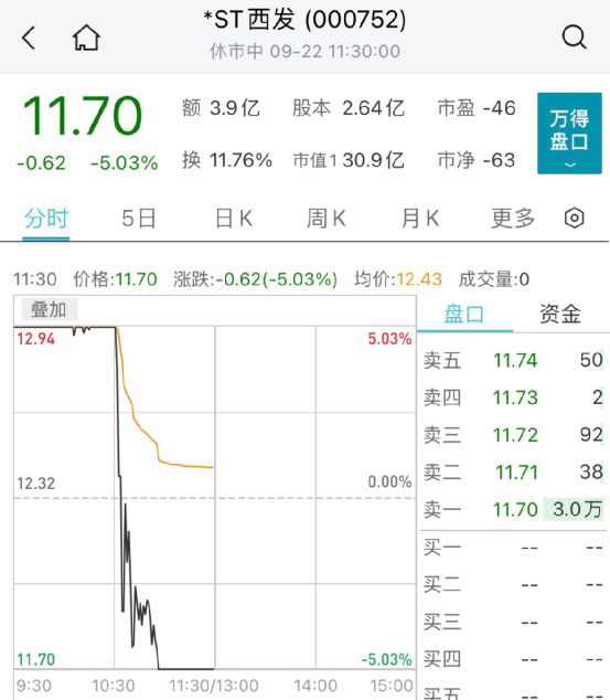 全线大爆发！这一板块集体反弹