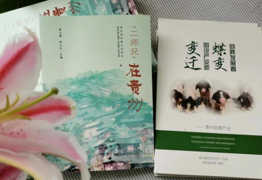 该书由贵州省生猪产业发展工作专班与贵州省养猪行业协会联合推出