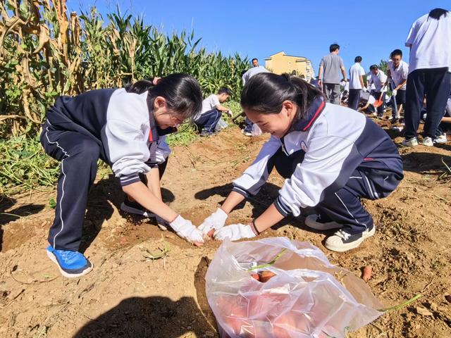 密云水库中学和北京第十三中学两校学生携手开展劳动实践活动。受访者供图