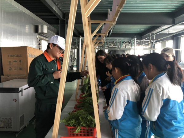 长春市双阳区实验小学学生参观长春市奢爱农业草莓种苗研发中心